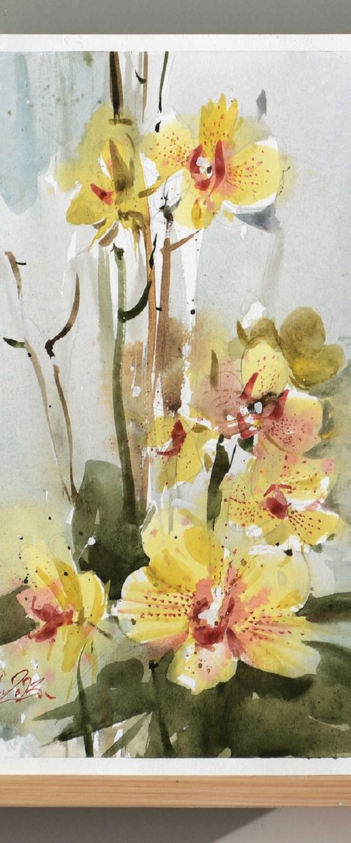 Yellow Orchid , watercolor painting on paper, 2023. by Marin Victor