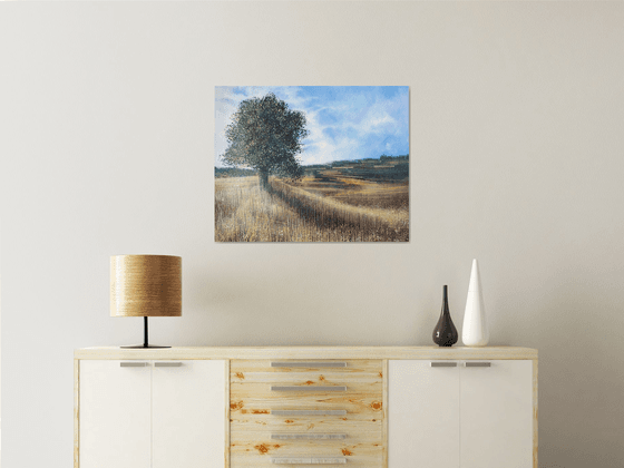 Meadow In Late Summer