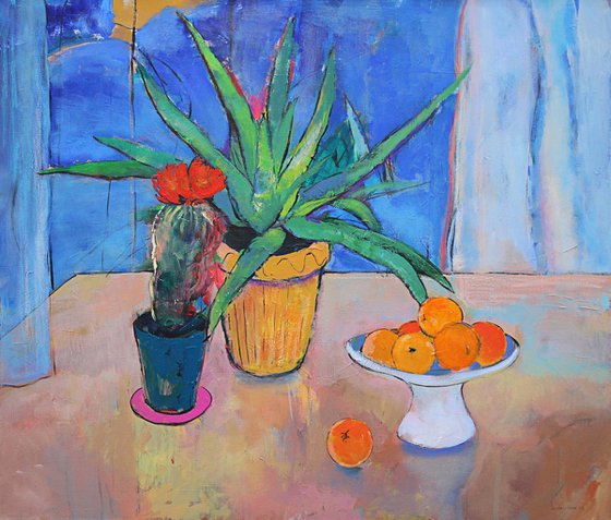 Aloe Vera and cactus