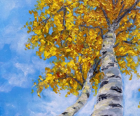 Yellow birches in the clouds