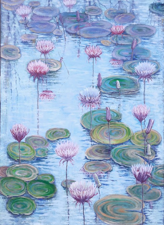 Water lilies