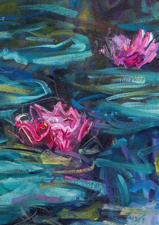 Water lilies