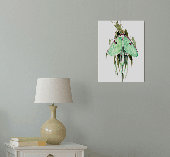 Luna Moth