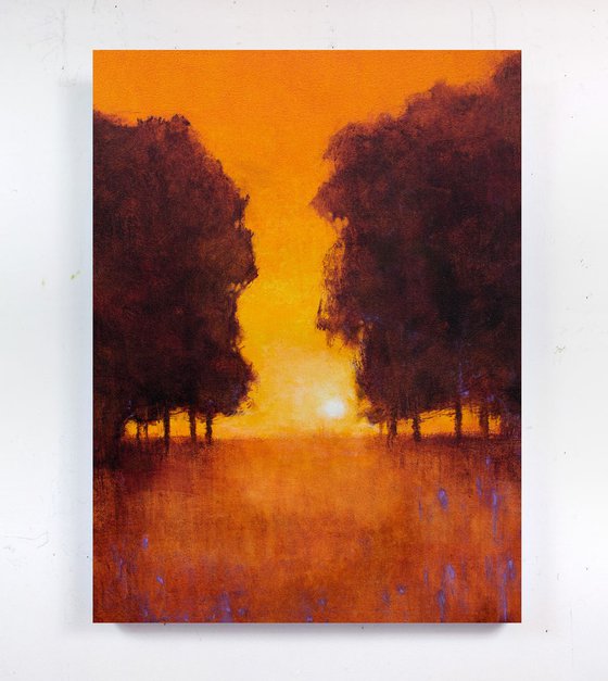 Tall Trees Sunset modern landscape impressionist
