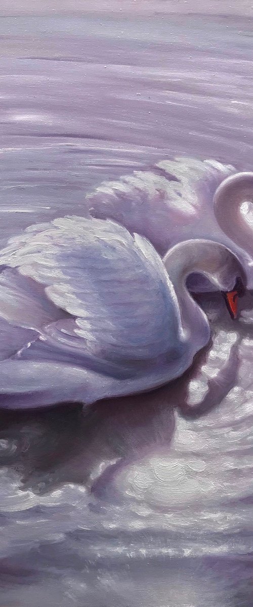 Swans by Artem Grunyka