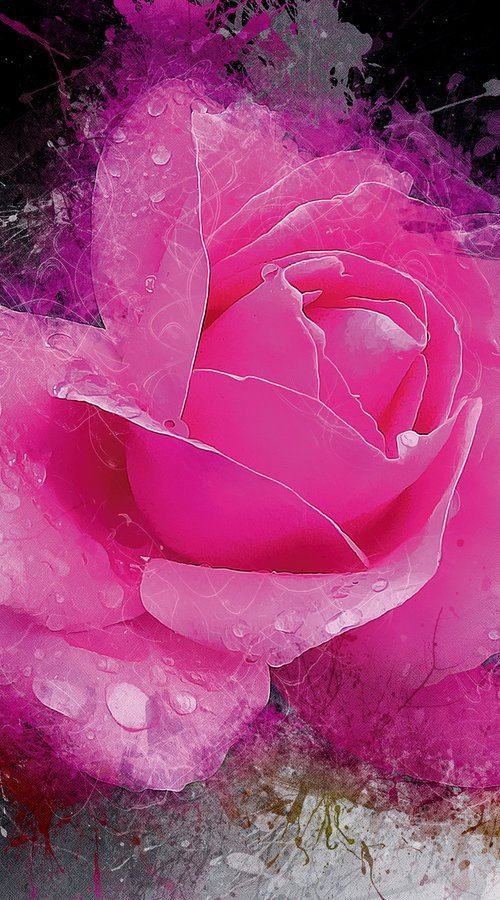 Gotas de lluvia, rosa by Javier Diaz