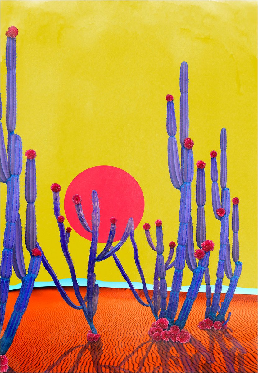 Surrealistic Botanical Photograph By Nadia Attura, 28 X 39", Cactus Sunset, Original Artwork