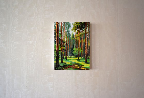 A sunny day in the pine forest