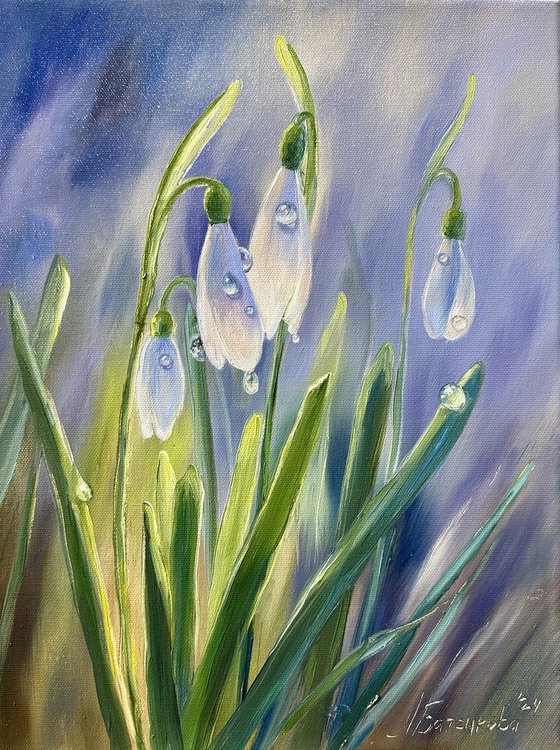 Snowdrops