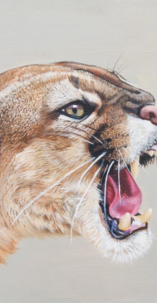 Puma enojado by Norma Beatriz Zaro