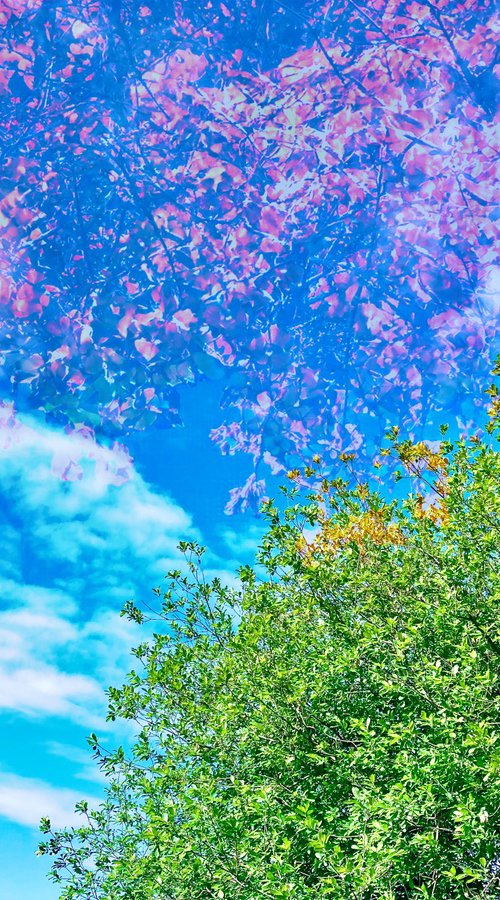 Changing seasons - A3 by Kerry Gerdes