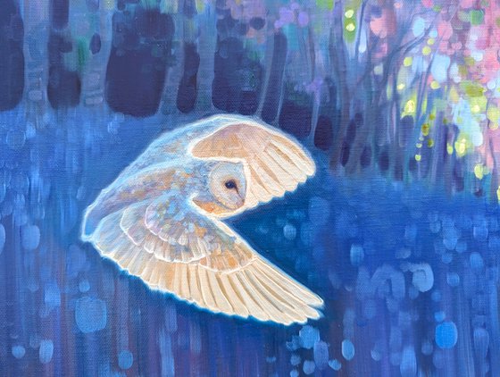 The Owls Haven