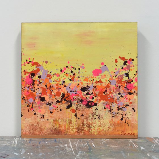 Sunkist Coral 1