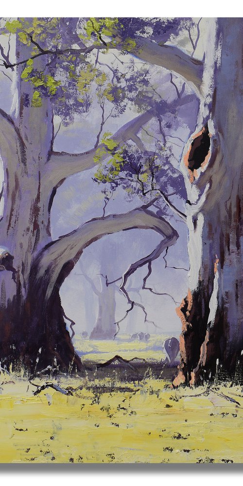 Australian Gum tree Landscape by Graham Gercken