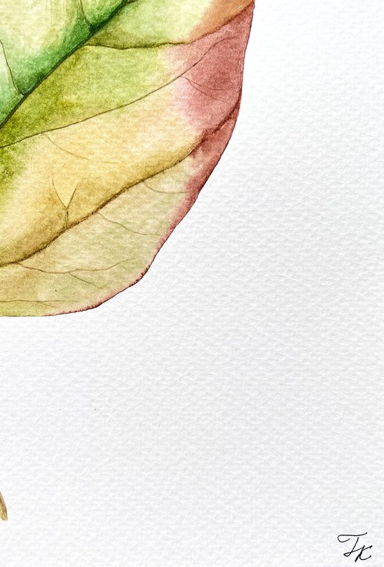 Autumn leaf Sketch #7