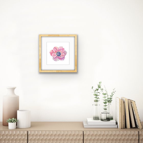 Anemone. A series of original watercolour artwork.