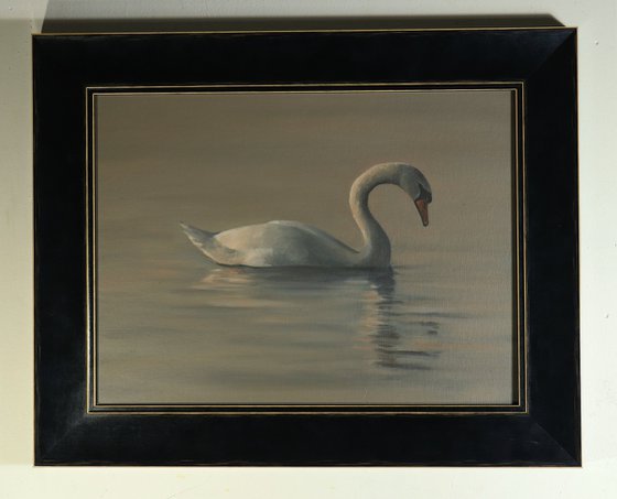 Water Swan at Dusk