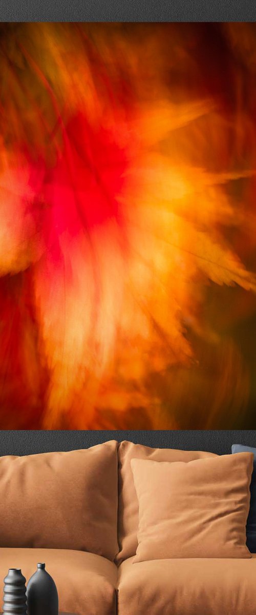 Wings of a Feather by Lynne Douglas