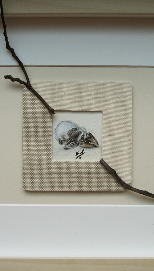 Skull of canary from series "Skylls - flying skulls" by Monika Wawrzyniak