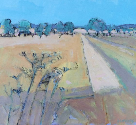 Spreading Fields.   Colourful original acrylic landscape