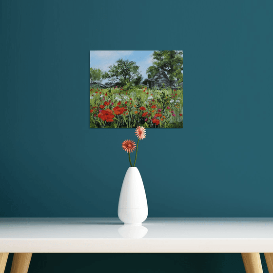 Old barn and wild poppies