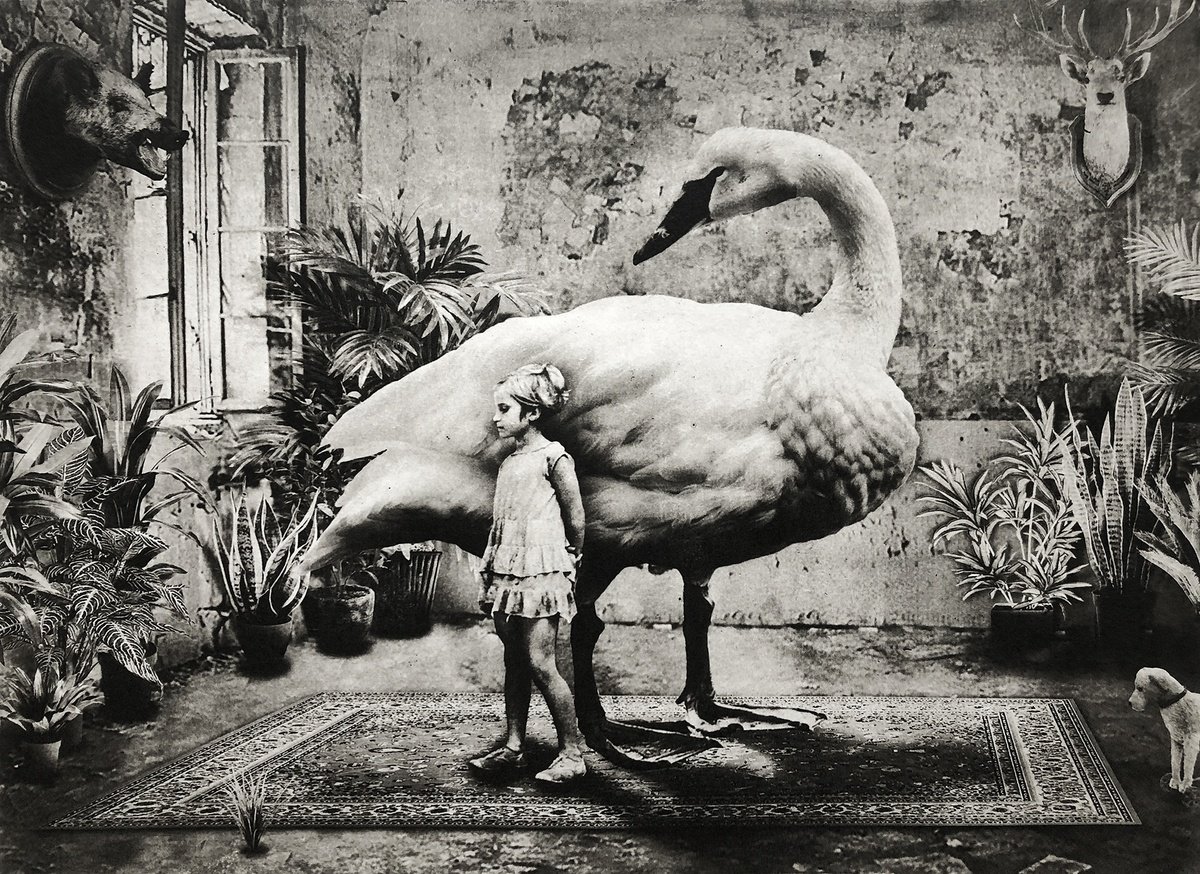 Surrealistic Animal Etchings & Engravings By Jaco Putker, 20 X 16, Interior No.32, Original Artwork