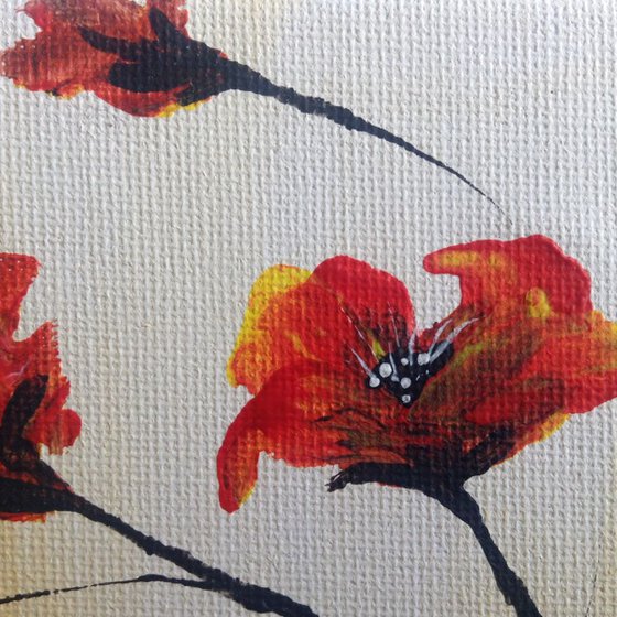 Poppies on a mini canvas