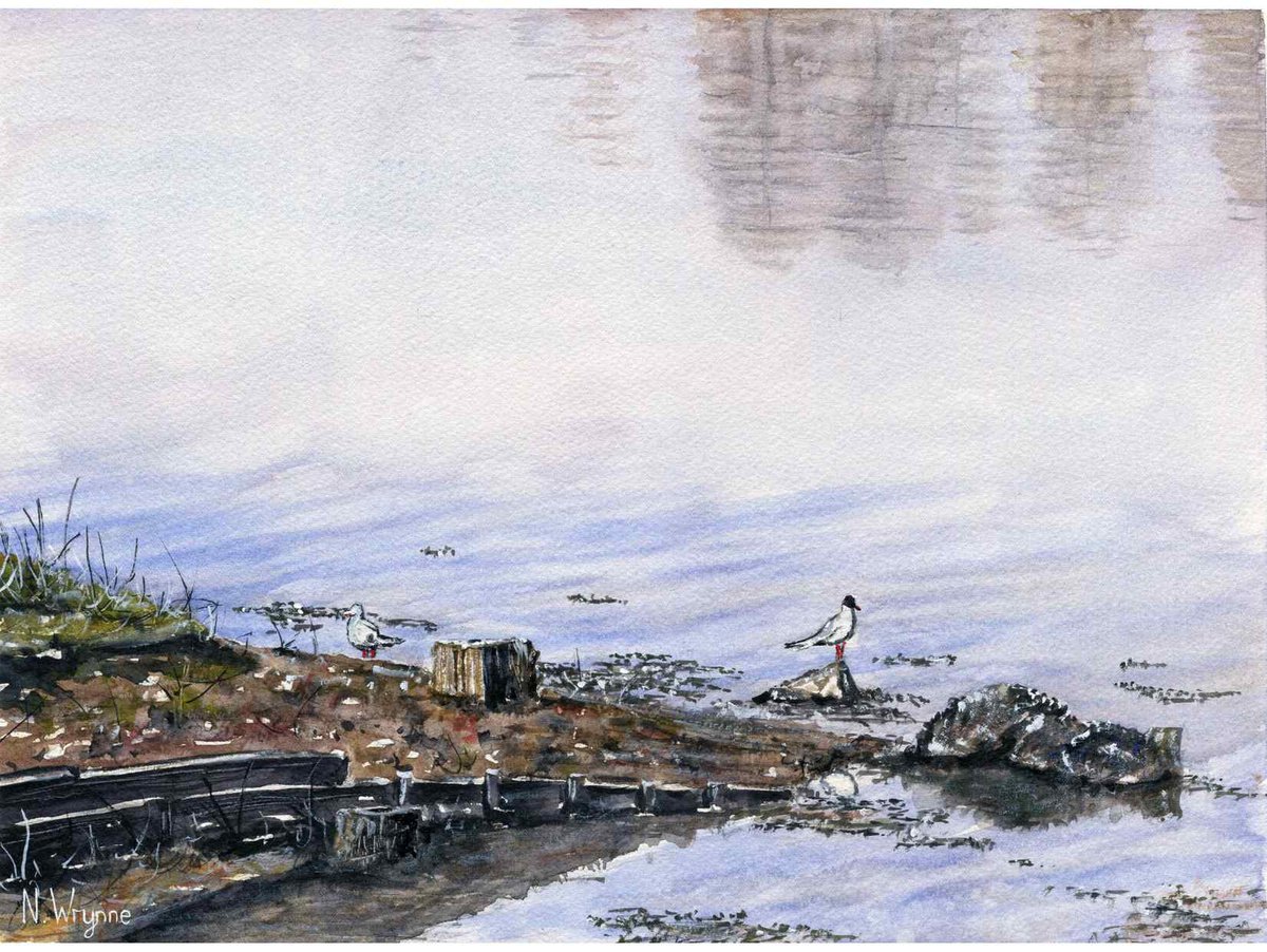 Watercolour Artwork - SEAGULL POINT - Landscape Original Birds Riverbank Art by Neil Wrynne
