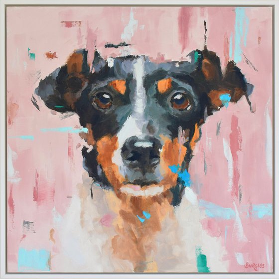Jack Russell Terrier 1 - Framed Oil On Canvas board - 63cm x 63cm