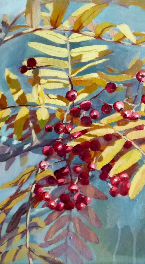 Mountain Ash by Diana Davydova