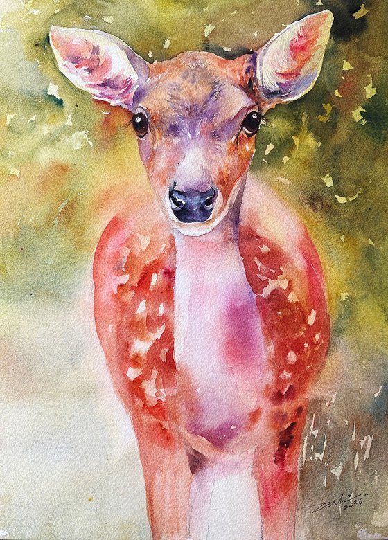 Forest Deer