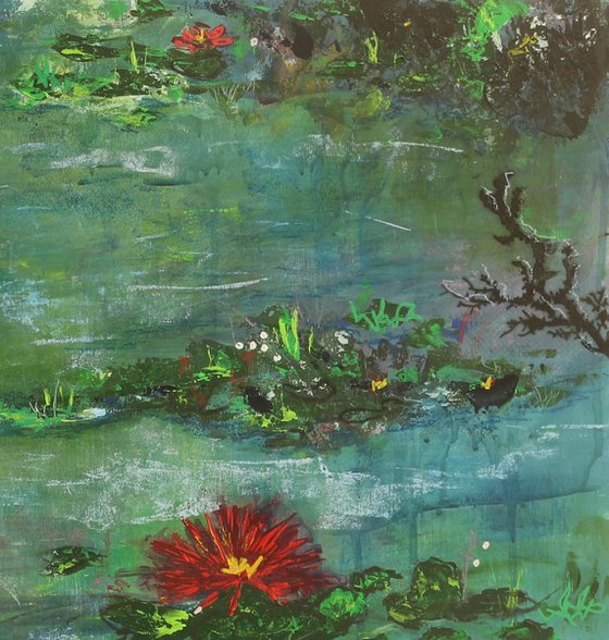 Water Lillies in the Pond