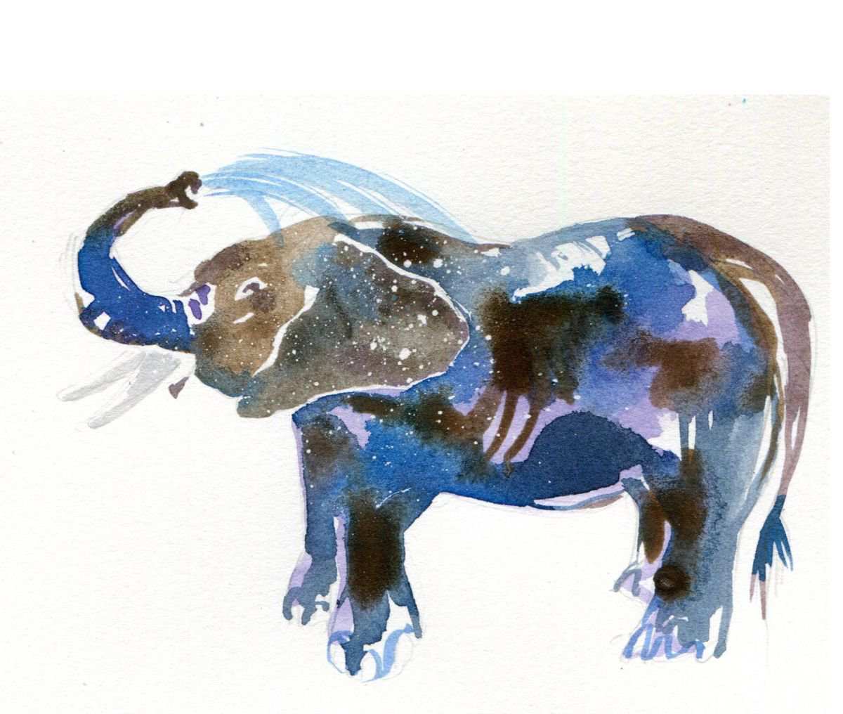 Elephant illustration by Hannah Clark