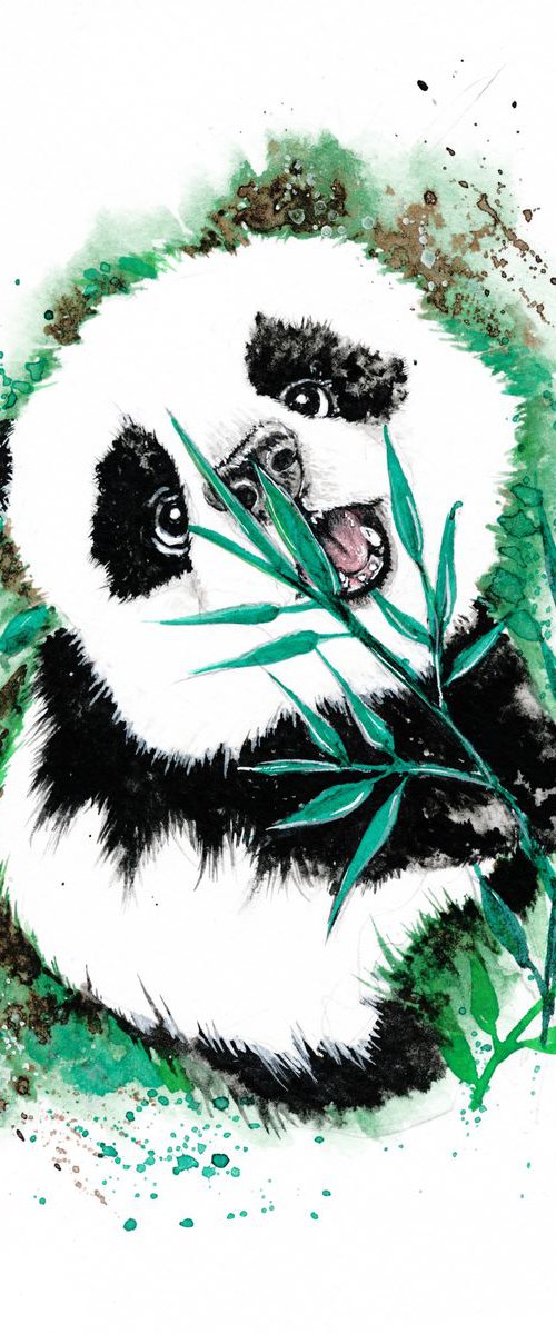 Panda by Doriana Popa