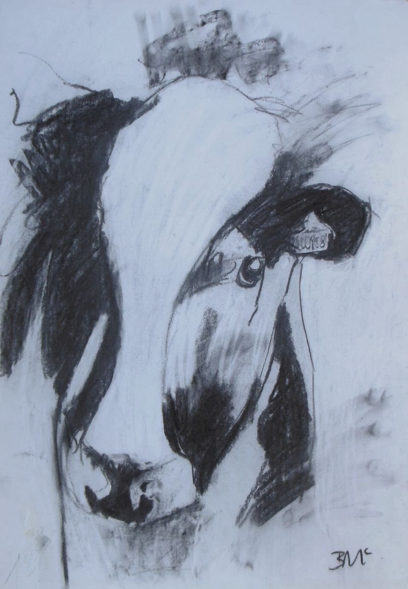 Cow Drawing I by Ben McLeod