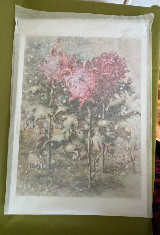 Pink Autumn chrysanthemums