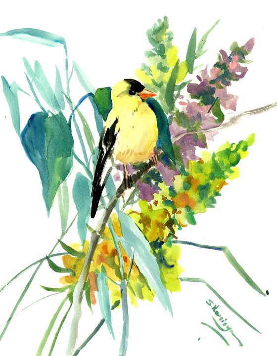 American Goldfinch and  Flowers