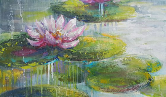 Waterlilies