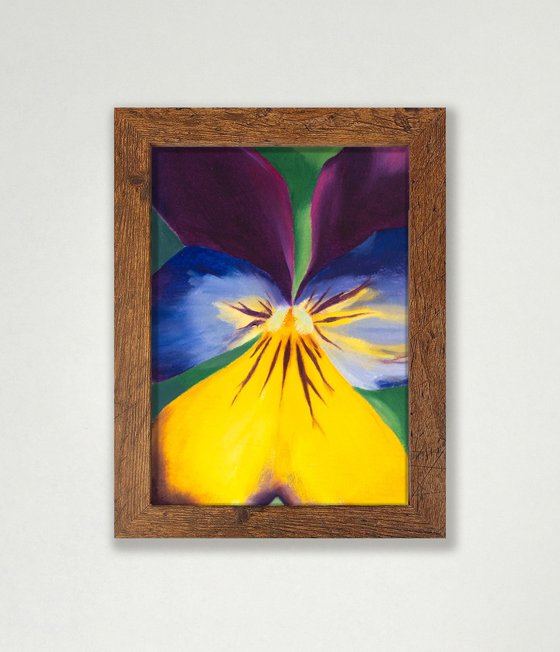Viola 04