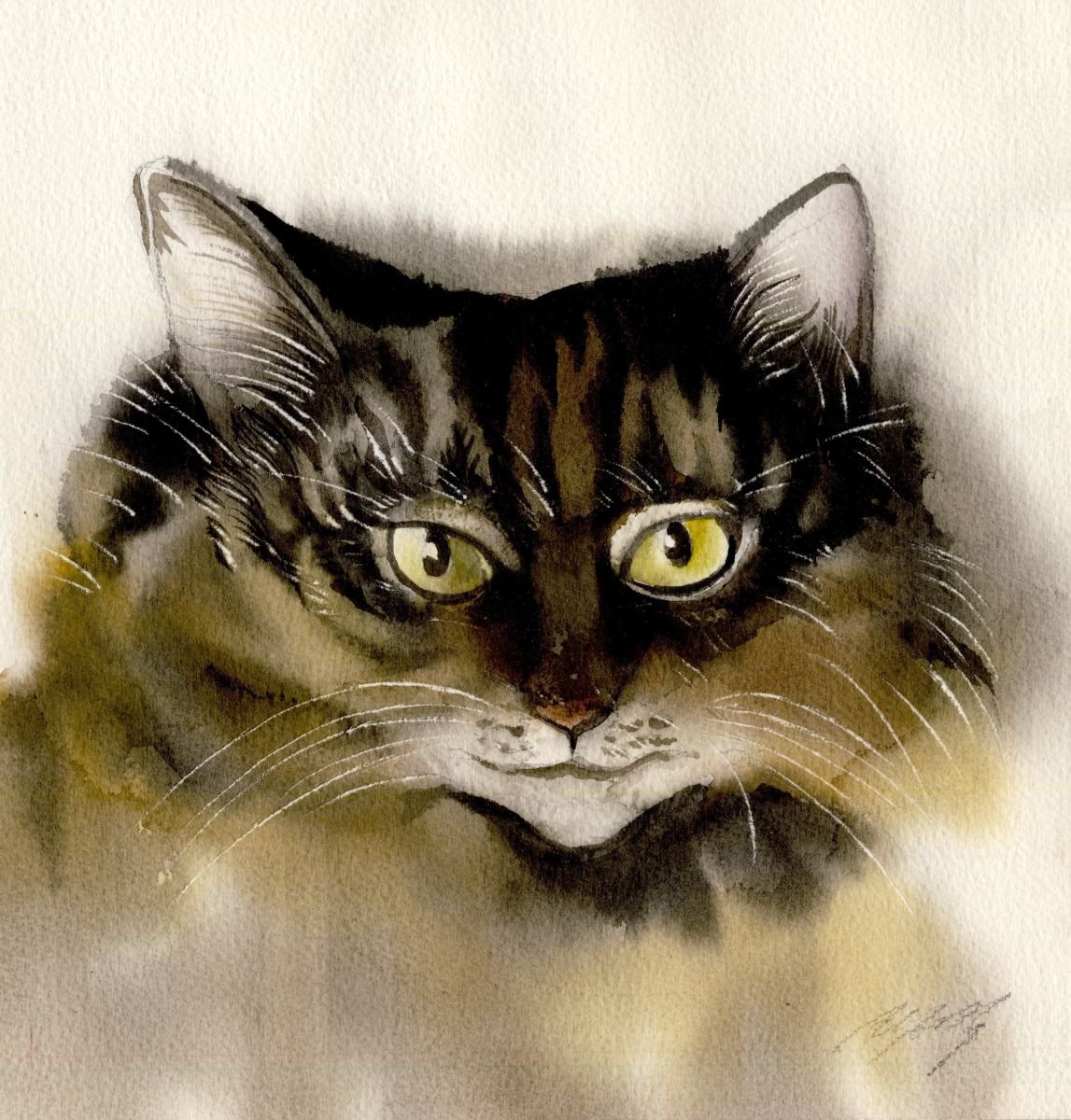 Brown Cat watercolor by Alfred Ng