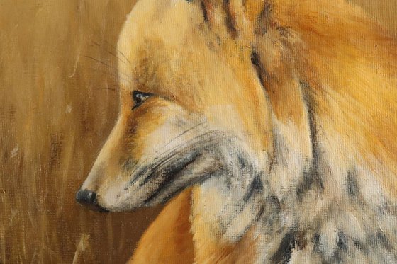 'In long Grass', Fox Painting, Framed and Ready to Hang