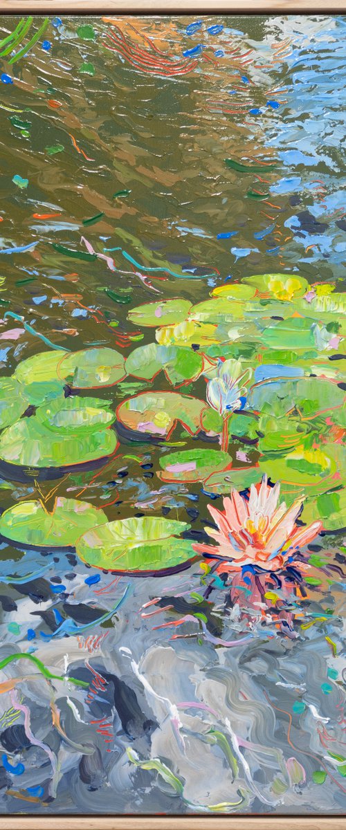 Tasman Lily Pond 44 by Joseph Villanueva