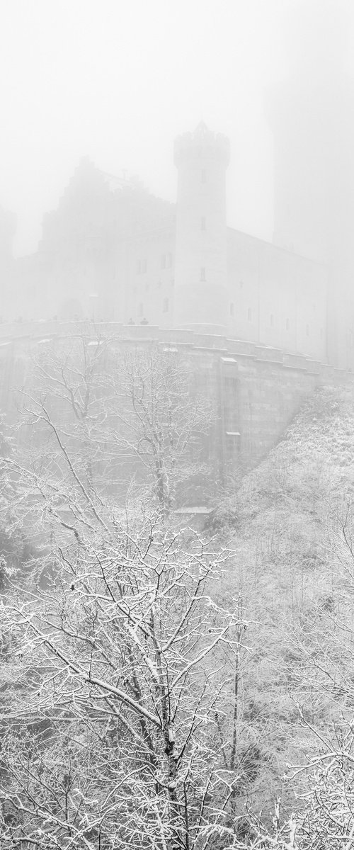 SNOW AND FOG by Fabio Accorrà