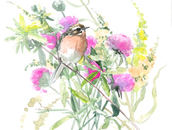 Whinchat Bird and Meadow Flowers