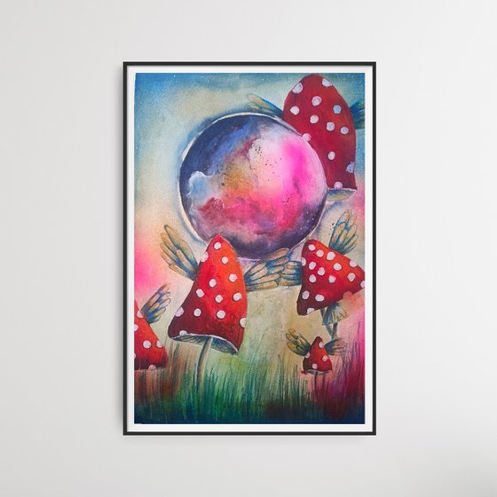 Where Mushrooms Dream