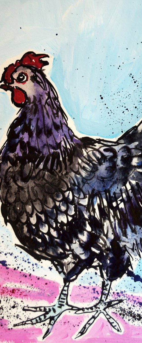 Black Hen (on Pink and Blue) by Julia  Rigby