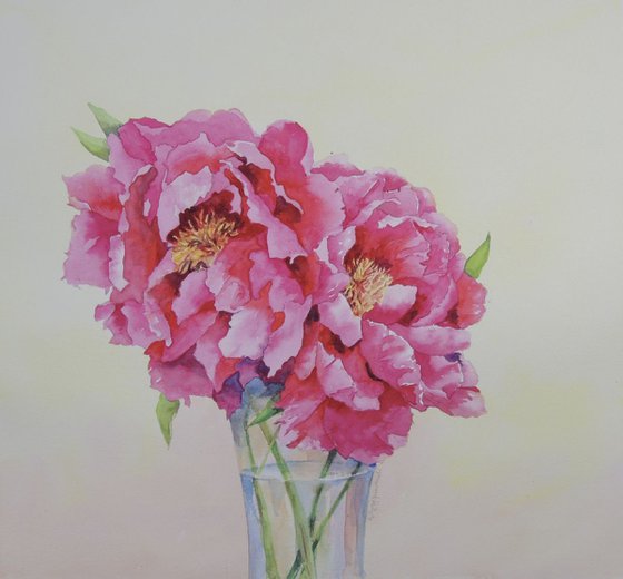 Peonies in a vase