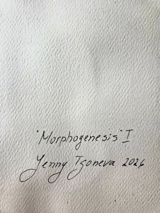 MORPHOGENESIS I