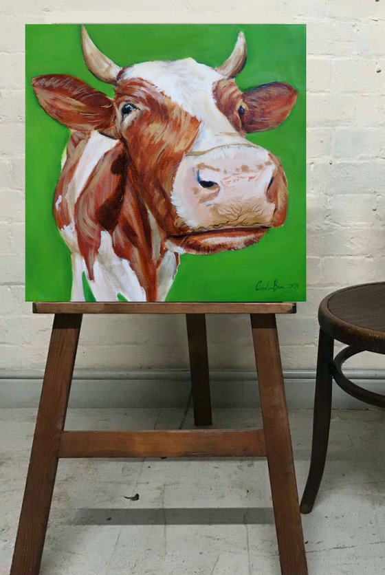 Cow portrait close up painting green background