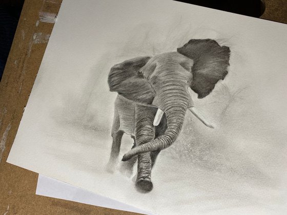 Running elephant